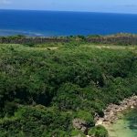 久米島の隠れ絶景スポット「黒石の森」の見どころ